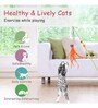 Interactive Orange & Yellow Nylon Pet Toy