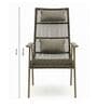 Benco Wicker Outdoor Relax Chair In Birch Brown Colour