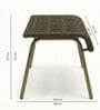 Benco Wicker Outdoor Relax Chair In Birch Brown Colour