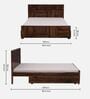 Bergen Sheesham Wood Queen Size Bed In Provincial Teak Finish With Drawer Storage