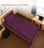Berry Plum Solid 400 TC Cotton Single Sized Bedsheet with 1 Pillow Cover