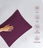 Berry Plum Solid 400 TC Cotton Standard Sized 2 Pillow Covers