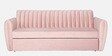 Bianca Velvet Pull-Out Sofa Cum Bed in Baby Pink Colour