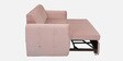 Bianca Velvet Pull-Out Sofa Cum Bed in Baby Pink Colour
