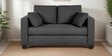 Bingo Fabric 2 Seater Sofa In Grey Colour