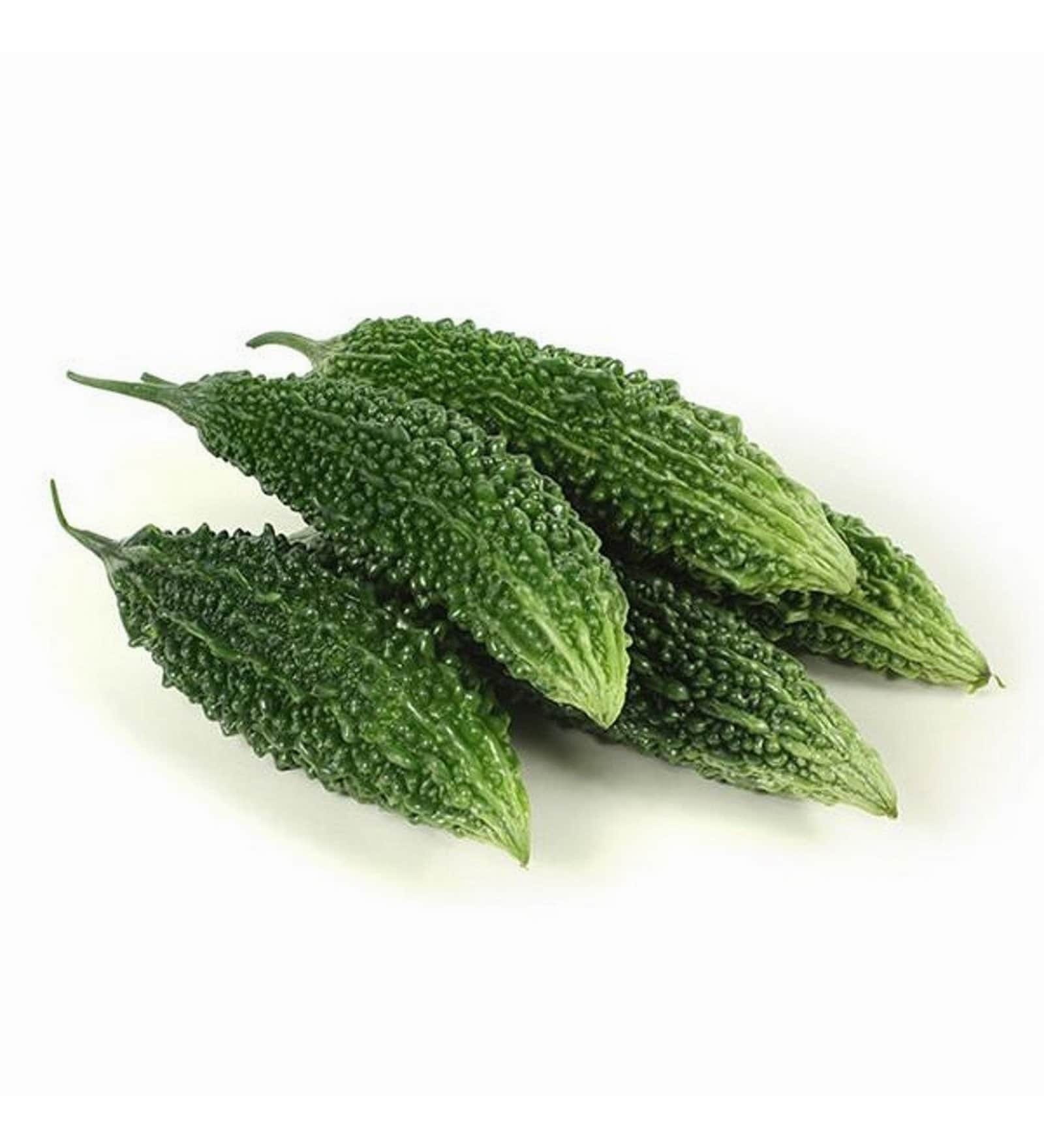 Bitter Gourd/ Karela / Bitter Melon Gardening Pack of 20 Seeds