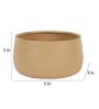 Beige Bowl Textured Planters Set of 2