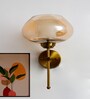 Big Kachori Glass Amber Globe Wall Light Brass Sconce