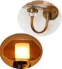 Big Kachori Glass Designer Globe Wall Lamp