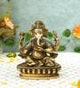 Big Nepali Ganesh Black & Gold Brass Idol