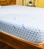 BIOLIFE 7-Zone Latex 10 Inches Single Size Mattress