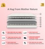 Biolife Ltx Indonesian Latex Foam 6 Inch Single Size Mattress