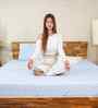 Biolife Ltx Indonesian Latex Foam 6 Inch Single Size Mattress
