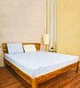 Biolife Ltx Indonesian Latex Foam 6 Inch Single Size Mattress
