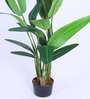 Artificial Bird of Paradise Plant with Pot