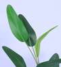 Artificial Bird of Paradise Plant with Pot