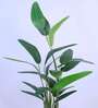 Artificial Bird of Paradise Plant with Pot