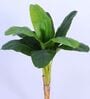 Artificial Bird of Paradise Plant with Pot