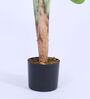 Artificial Bird of Paradise Plant with Pot