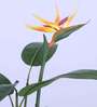 Artificial Bird of Paradise Plant with Pot
