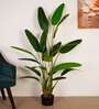 Artificial Bird of Paradise Plant with Pot