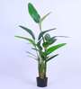 Artificial Bird of Paradise Plant with Pot