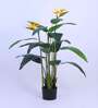 Artificial Bird of Paradise Plant with Pot