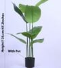 Artificial Bird of Paradise Tree Plant with Pot