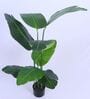 Artificial Bird of Paradise Tree Plant with Pot