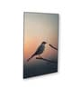 Bird Wall Art Collection Set of 4 Canvas Wall Painting Black Frame