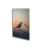 Bird Wall Art Collection Set of 4 Canvas Wall Painting Black Frame