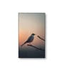 Bird Wall Art Collection Set of 4 Canvas Wall Painting Black Frame