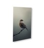 Bird Wall Art Collection Set of 4 Canvas Wall Painting Stretch Canvas Frame