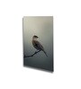 Bird Wall Art Collection Set of 4 Canvas Wall Painting Stretch Canvas Frame