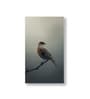 Bird Wall Art Collection Set of 4 Canvas Wall Painting White Frame