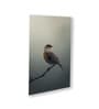Bird Wall Art Collection Set of 4 Canvas Wall Painting White Frame