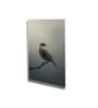 Bird Wall Art Collection Set of 4 Canvas Wall Painting White Frame