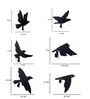 Bird Wall Art Hook 6 Pcs