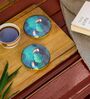 Birds of Feather Multicolour (4 x 4 Inches) Marble (Set of 2) Coasters