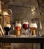 Luigi Bormioli Collection Transparent  Glass 6 Pcs Ipa Beer Glasses,Wheat Beer Glasses With Universal Beer Tester Glasses