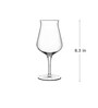 Luigi Bormioli Collection Transparent  Glass 6 Pcs Ipa Beer Glasses,Wheat Beer Glasses With Universal Beer Tester Glasses