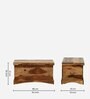 Biscay Sheesham Wood Trunk in Scratch Resistant Rustic Teak Finish
