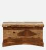 Biscay Sheesham Wood Trunk in Scratch Resistant Rustic Teak Finish