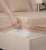 Biscotti Bliss Solid 300 TC Pure Cotton King Fitted Bedsheet with 2 Pillow Covers
