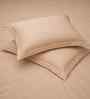 Biscotti Bliss Solid 300 TC Pure Cotton King Fitted Bedsheet with 2 Pillow Covers