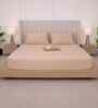 Biscotti Bliss Solid 300 TC Pure Cotton King Fitted Bedsheet with 2 Pillow Covers