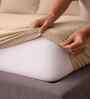 Biscotti Bliss Solid 500 TC Pure Cotton King Fitted Bedsheet with 2 Pillow Covers