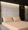 Biscotti Bliss Solid 500 TC Pure Cotton King Fitted Bedsheet with 2 Pillow Covers