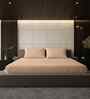 Biscotti Bliss Solid 500 TC Pure Cotton King Fitted Bedsheet with 2 Pillow Covers