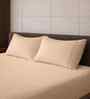 Biscotti Bliss Solid 500 TC Pure Cotton King Fitted Bedsheet with 2 Pillow Covers